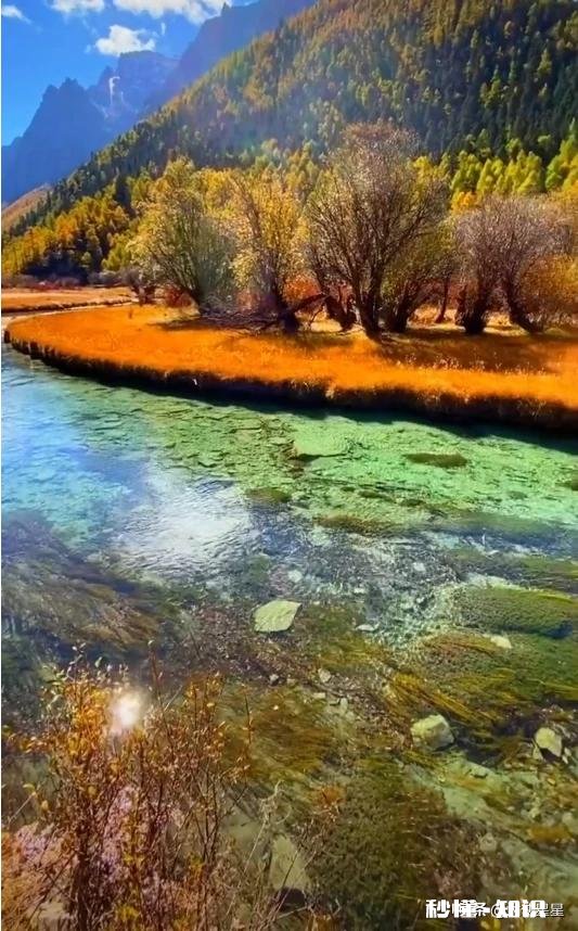 为什么肖战的粉丝会因为一篇文章举报一个平台