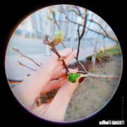 为什么农村爱情那么朴实，城市爱情却是圈套重重