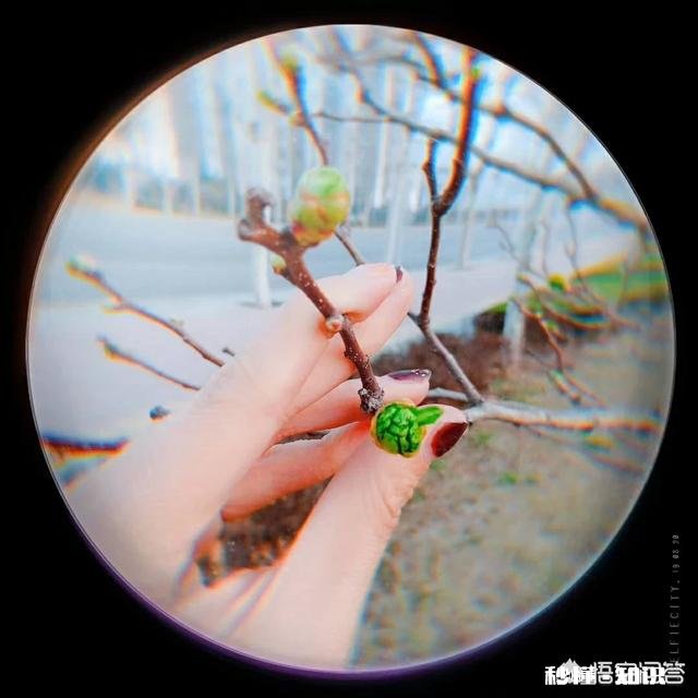 为什么农村爱情那么朴实，城市爱情却是圈套重重