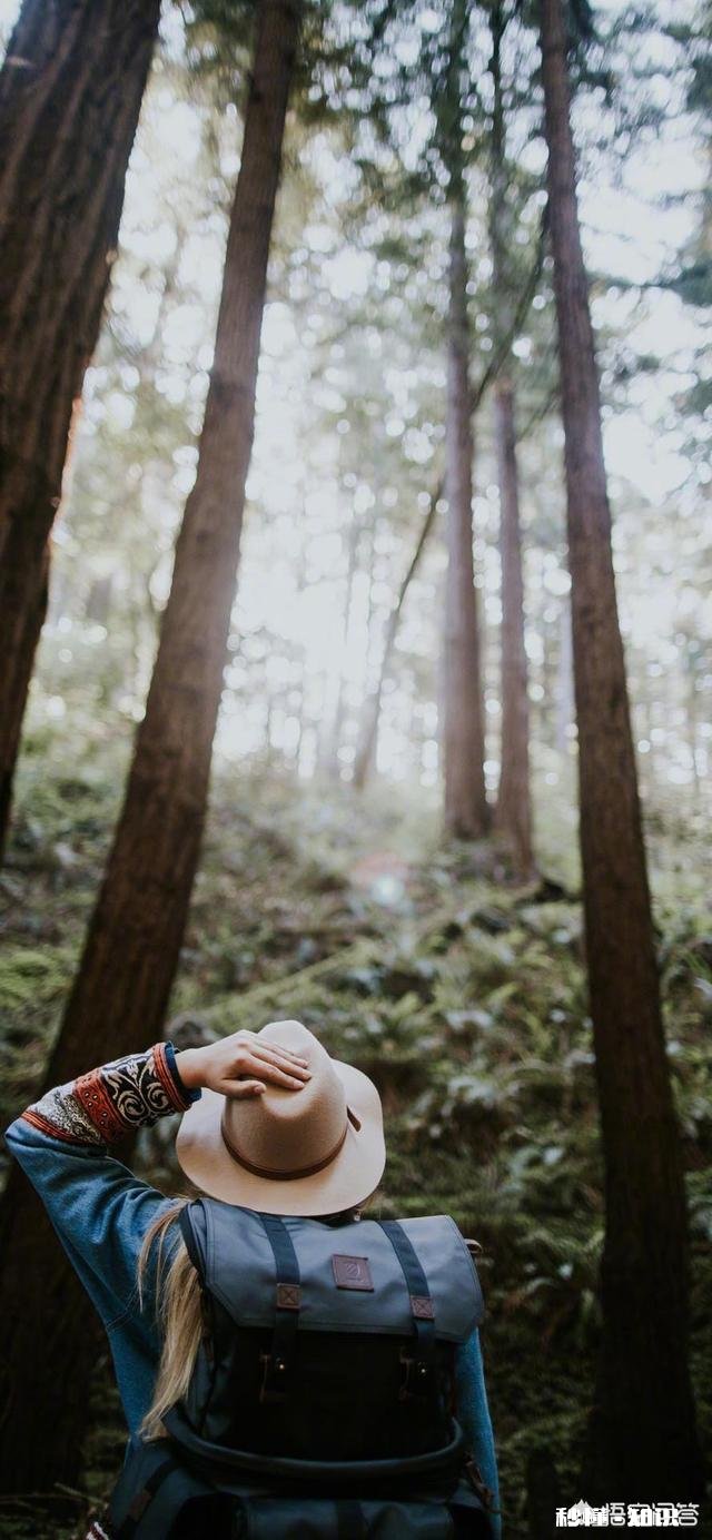 第一次约女生,她生日,送什么礼物呢