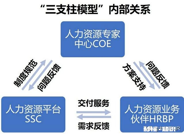 一个HR要具备什么技能才算专业