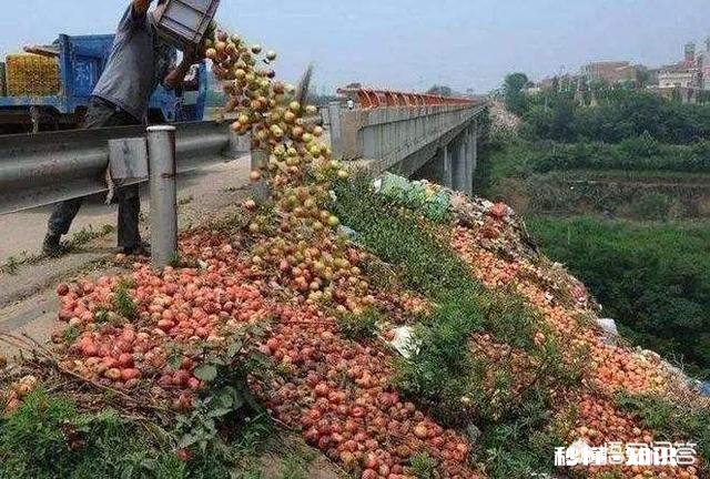 如何解决农产品滞销