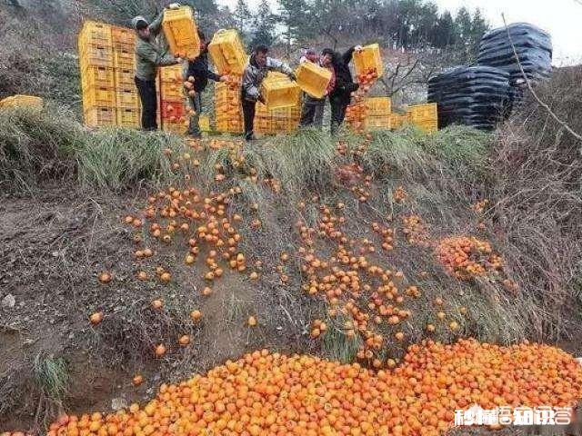 如何解决农产品滞销