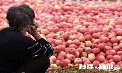 如何解决农产品滞销