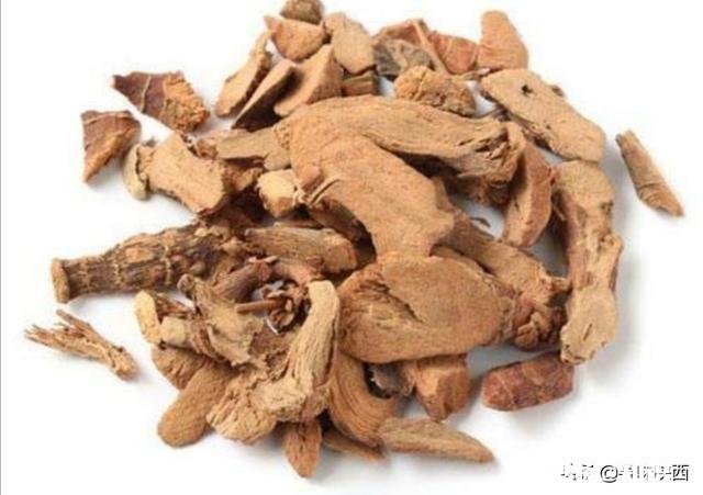 煮高汤能用良姜吗