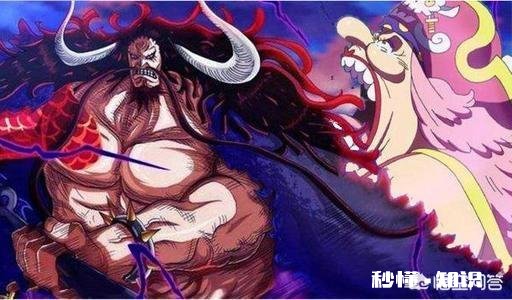 《海贼王》四皇凯多与大妈到底是什么关系，这二人之间有什么秘密