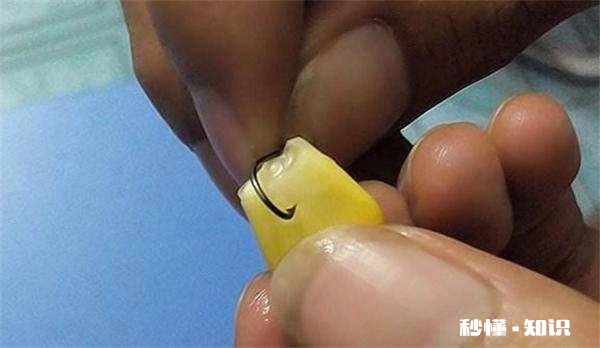 甜酒可以泡玉米粒钓鱼吗