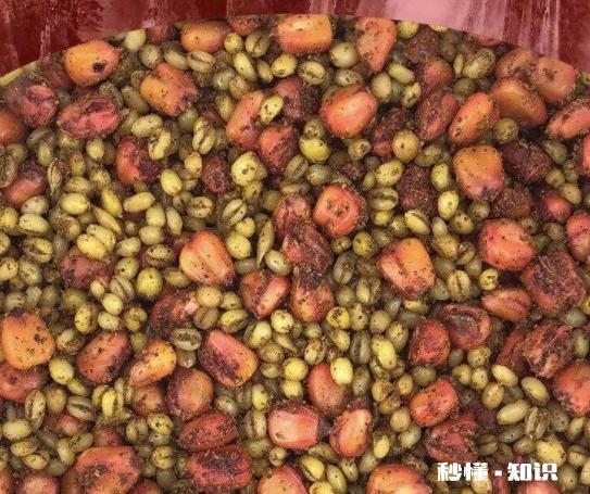 甜酒可以泡玉米粒钓鱼吗