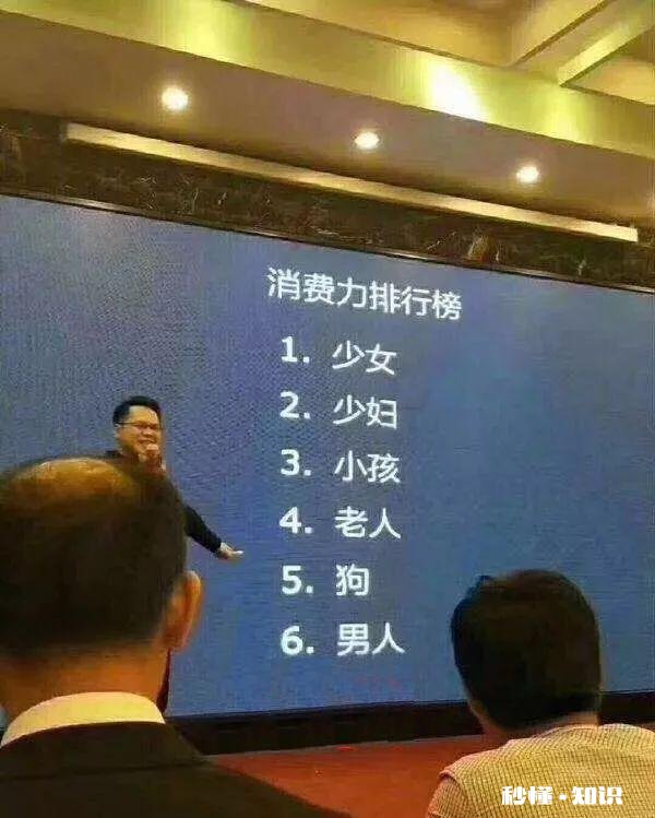 做电商什么类目比较好做我该选择哪个电商平台