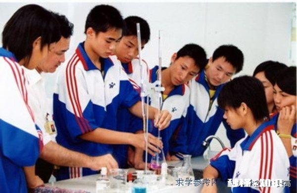 农村学生是父母的陪伴教育重要，还是孩子到县城上个好学校重要