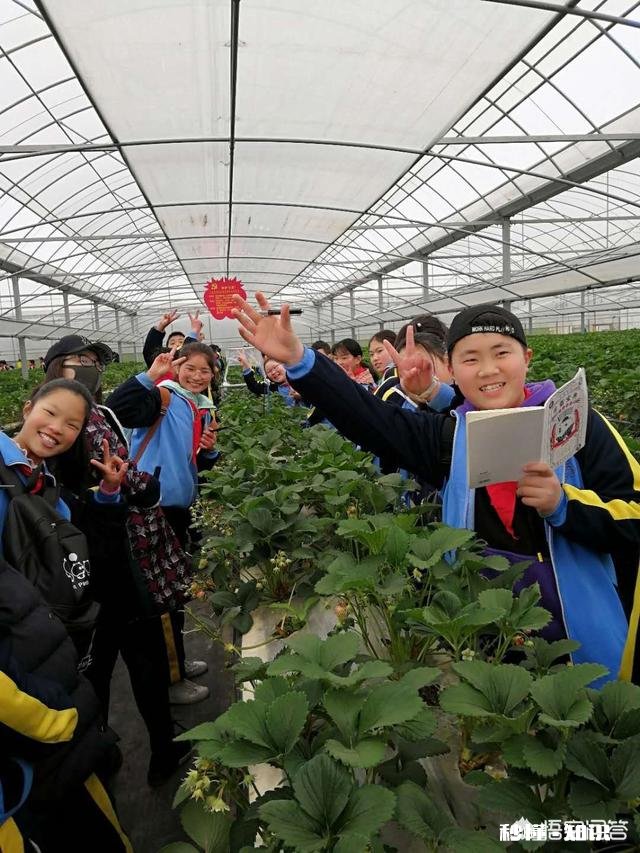 孩子小学语文成绩,不关注也可以拿到90分,到了初中,连及格分数都不到,为什么