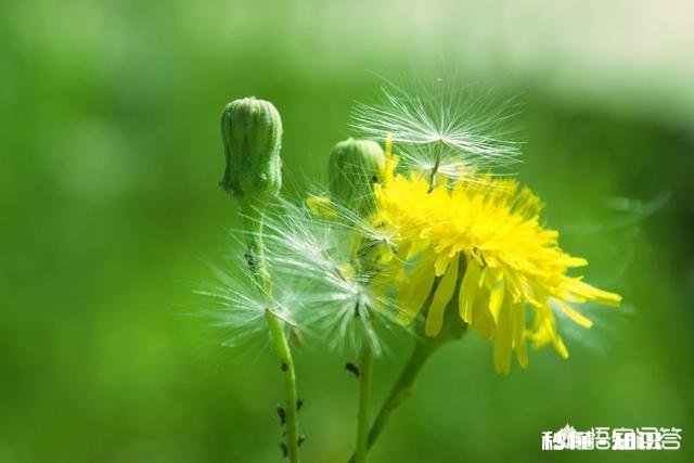 “脚部”出现哪些症状表明血糖可能已超标