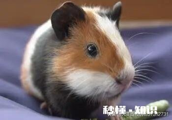 郑州通报?河北建工“严重失信”：拖欠农民工工资等多个问题未解决, 你怎么看