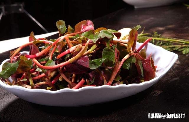 农村里面经常见的鱼腥草有什么作用