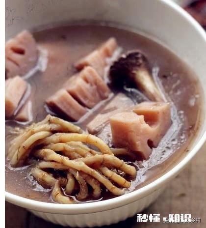 农村里面经常见的鱼腥草有什么作用