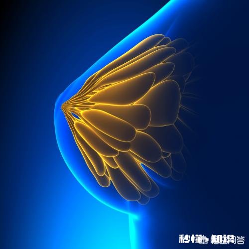 乳腺增生会很疼吗