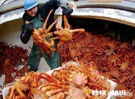 一年只需要工作一月或者只有十几天时间，工资能挣50万，你干不干绝对有这工作。