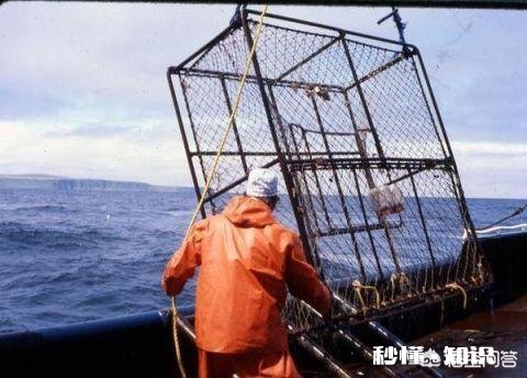 一年只需要工作一月或者只有十几天时间，工资能挣50万，你干不干绝对有这工作。