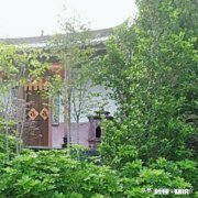 终沉池投氯化铝和酰胺对出水有什么影响