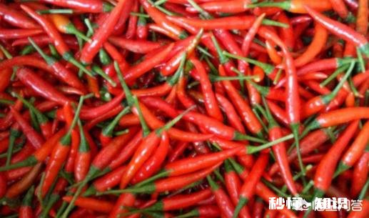 哪种辣椒又香又辣为什么