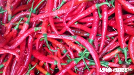 哪种辣椒又香又辣为什么