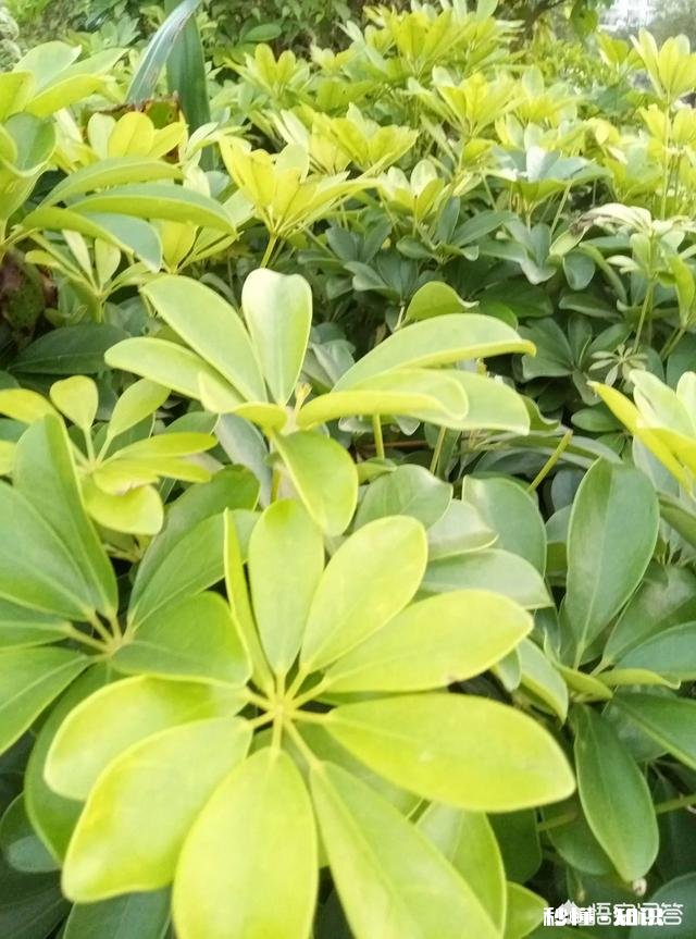 你心里有没有住着一个特别的人