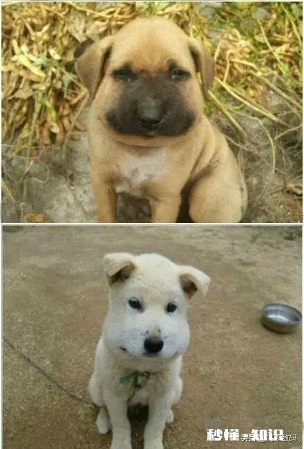 云电脑和普通电脑有什么区别