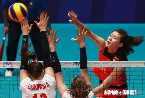 我是山东球迷，假如李盈莹转到山东打球，能拿冠军吗