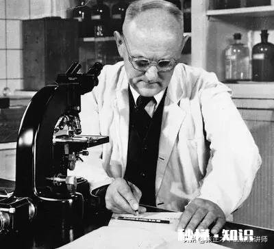 欧洲爆发的黑死病，客观上来讲，都有哪些利弊呢