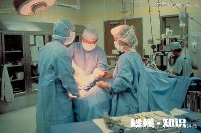 欧洲爆发的黑死病，客观上来讲，都有哪些利弊呢