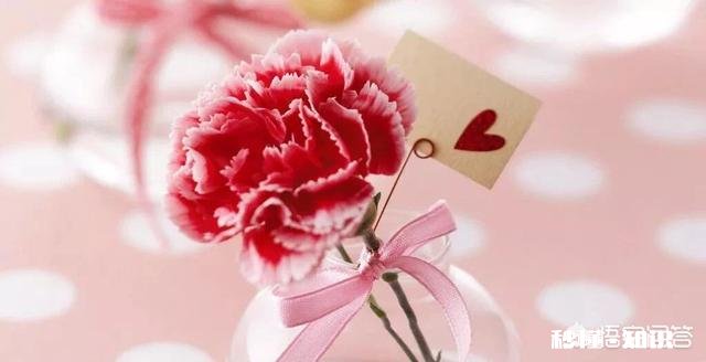 母亲节来了，作为经济依赖父母的学生，花上百元给妈妈买鲜花。妈妈怎么做为好