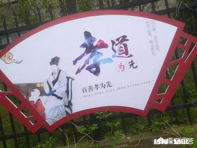 母亲节来了，作为经济依赖父母的学生，花上百元给妈妈买鲜花。妈妈怎么做为好