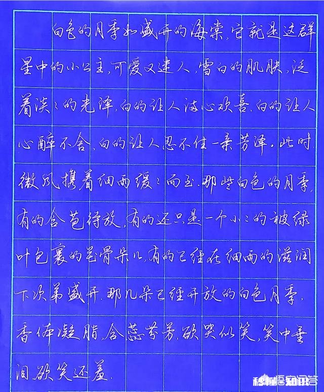 作为一个书法爱好者，练到一段时间后老是觉得没有进步，为什么