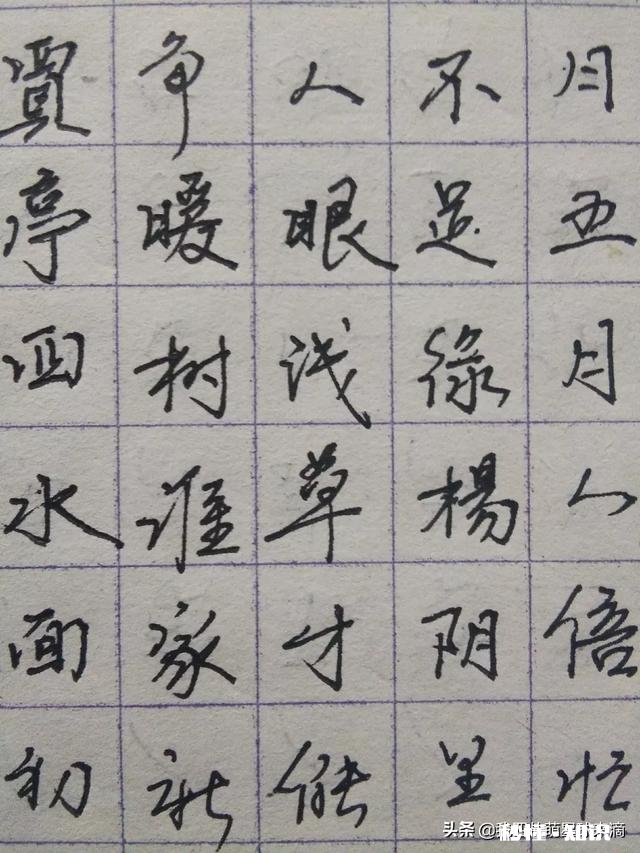 哪种钢笔字好看大家推荐一下各位不要吝啬