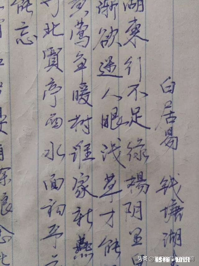 哪种钢笔字好看大家推荐一下各位不要吝啬