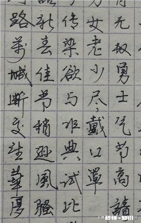 哪种钢笔字好看大家推荐一下各位不要吝啬