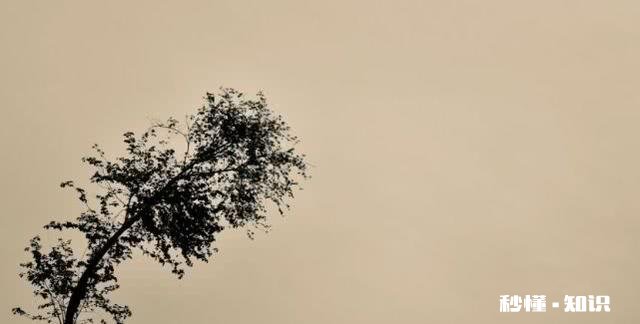 这次疫情是不是让自己更看淡一些东西