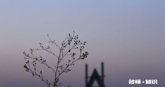 这次疫情是不是让自己更看淡一些东西