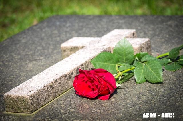 世界上最伤人的是什么字