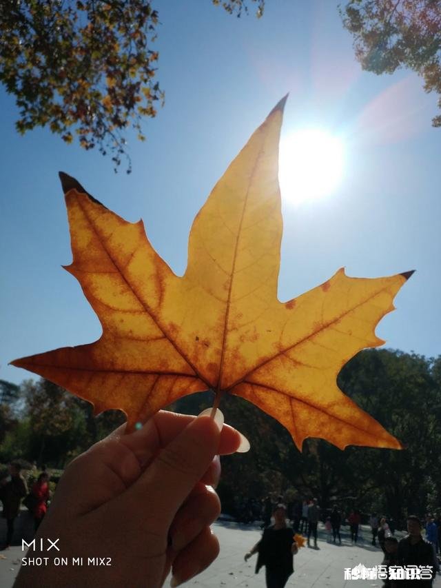 你觉得你身边活的最自在的人是什么样的