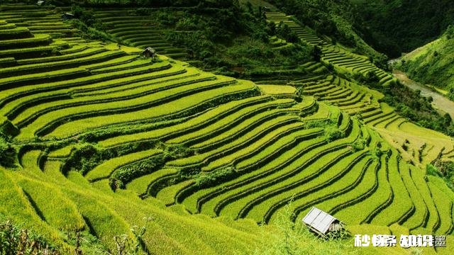 你认为拍摄事先构想好的摄影主题和偶然拍下的画面有什么不同