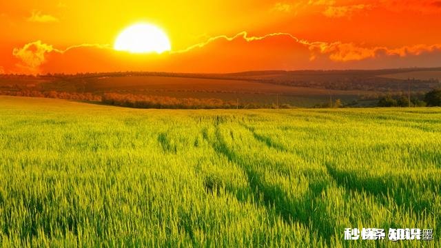 你认为拍摄事先构想好的摄影主题和偶然拍下的画面有什么不同