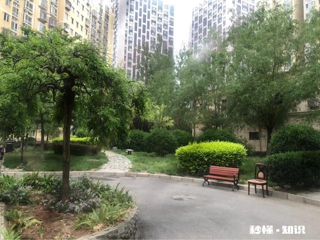 生活中真实你在扮演着什么角色