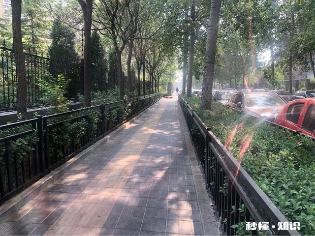 生活中真实你在扮演着什么角色