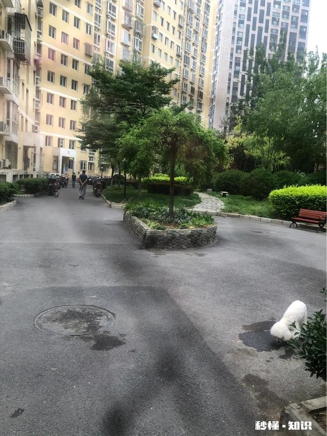 生活中真实你在扮演着什么角色