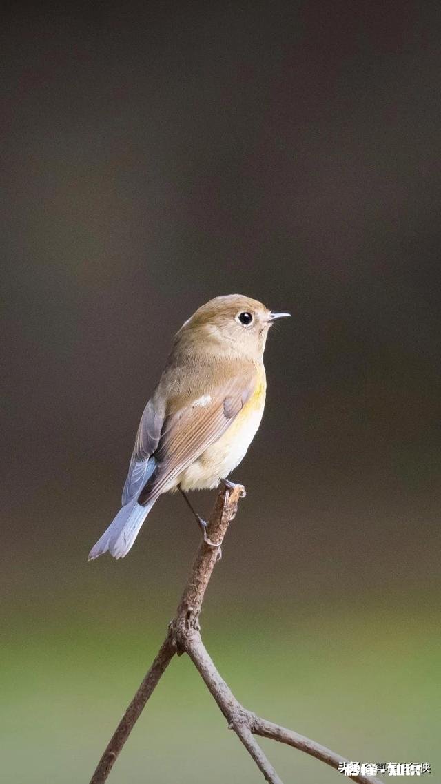什么是有深度的灵魂