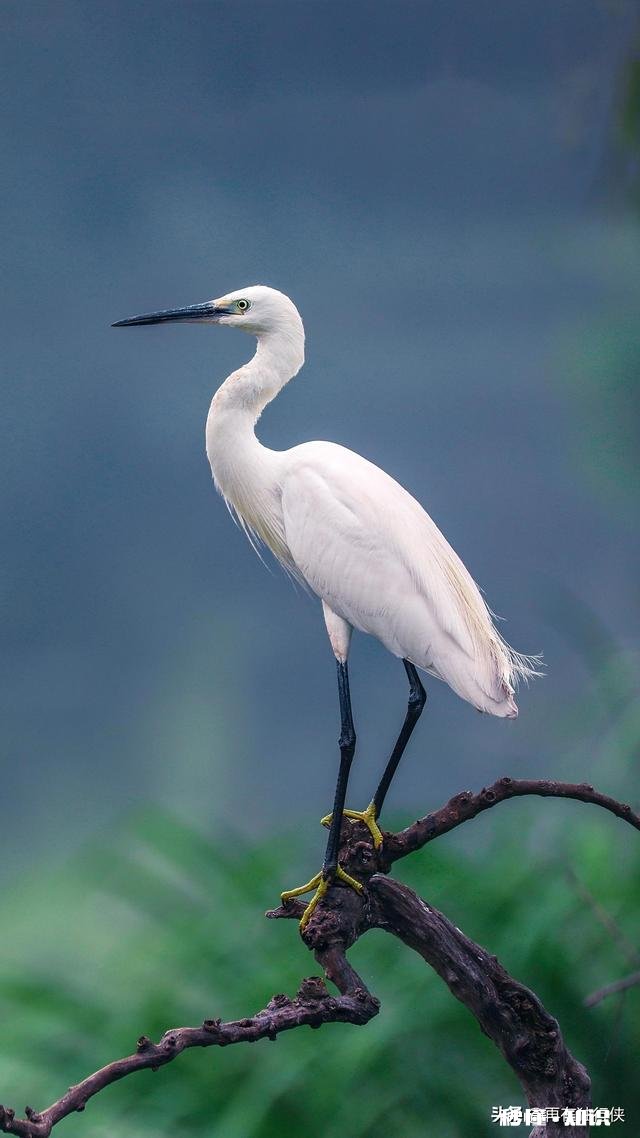 什么是有深度的灵魂