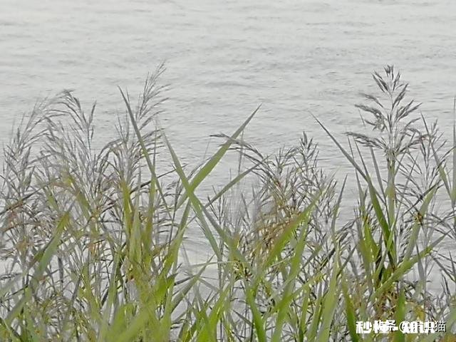 男人娶了一个自己不喜欢的人是什么感受