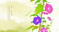 你认为紫色围巾适合45岁女人吗为什么