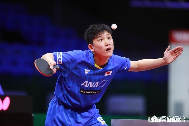 张本智和输球后接受中国记者采访，失声痛哭不甘心失败！你怎么看